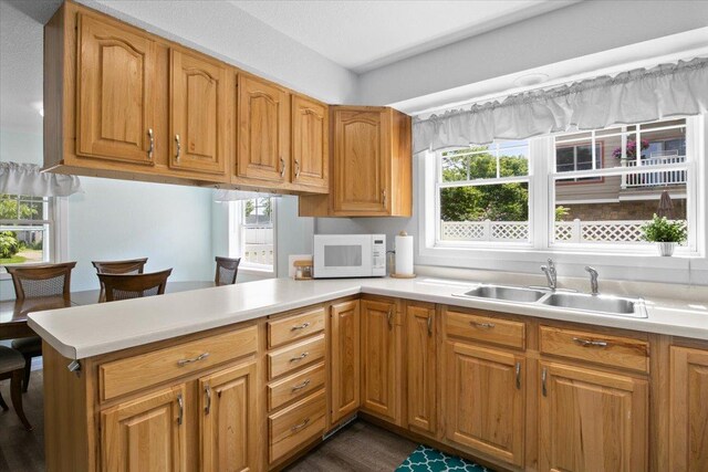 311 Franklin St, Lake City, MN 55041 - kitchen with white microwave, a sink, a peninsula, and light countertops