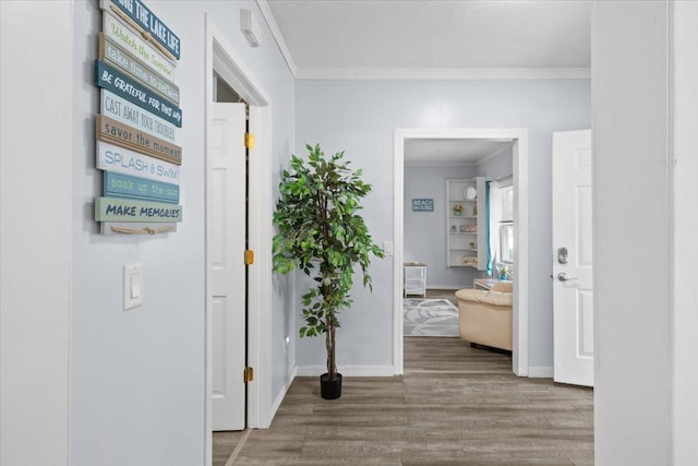 311 Franklin St, Lake City, MN 55041 - hallway featuring wood finished floors, crown molding, and baseboards