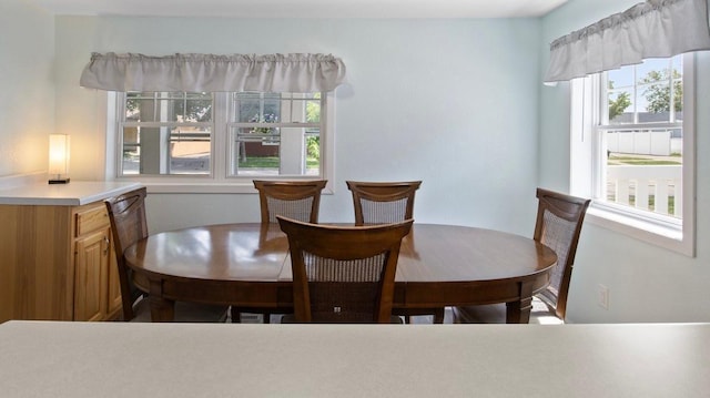 311 Franklin St, Lake City, MN 55041 - dining room featuring plenty of natural light