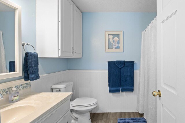 311 Franklin St, Lake City, MN 55041 - full bath with a wainscoted wall, vanity, toilet, and wood finished floors
