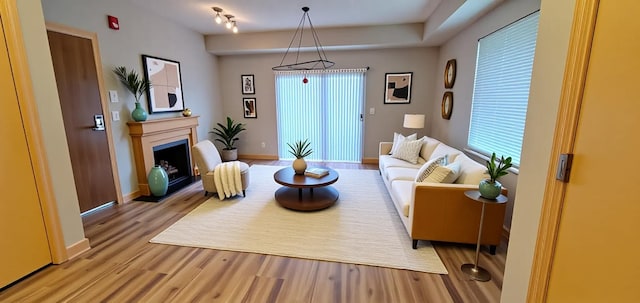1805 3rd Ave S Unit 102, Minneapolis, MN 55404 - living room featuring light wood-style flooring and a fireplace with raised hearth