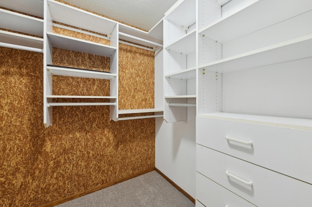 14737 Endicott Way, Apple Valley, MN 55124 - spacious closet with carpet floors
