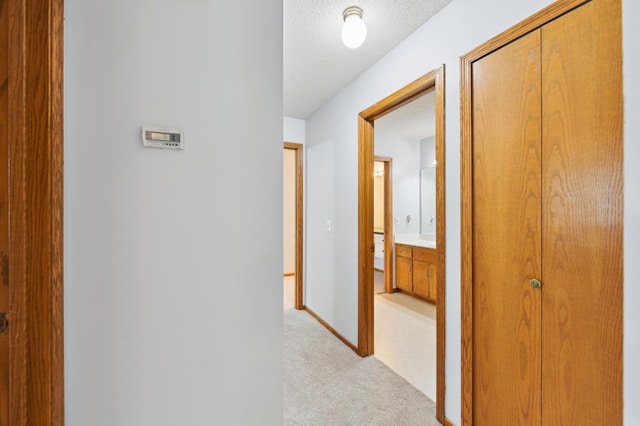 14737 Endicott Way, Apple Valley, MN 55124 - hall featuring light colored carpet, a textured ceiling, and baseboards