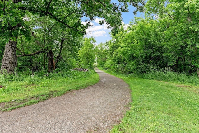 7154 Cedar Rd, Milaca, MN 56353 - photo 30