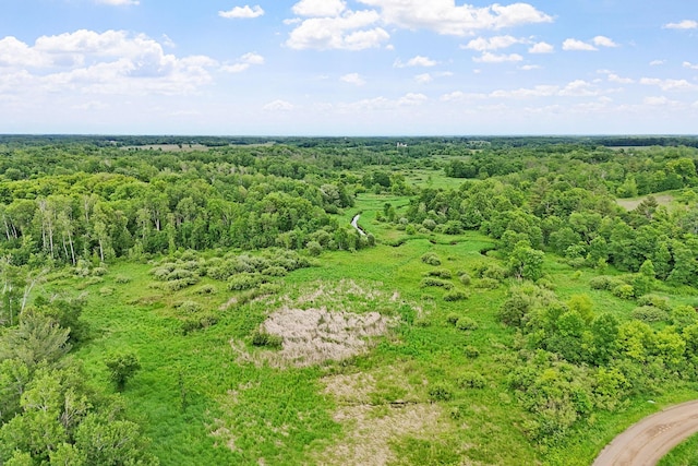 7154 Cedar Rd, Milaca, MN 56353 - photo 41