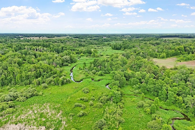 7154 Cedar Rd, Milaca, MN 56353 - photo 42