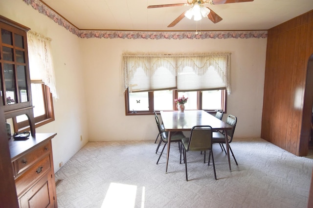 502 State Ave N, Thief River Falls, MN 56701 - photo 10