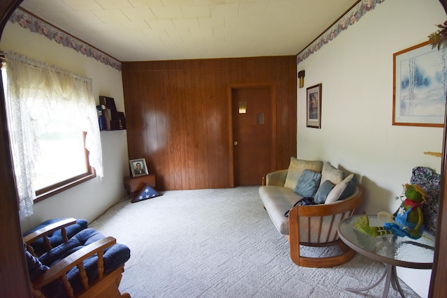 502 State Ave N, Thief River Falls, MN 56701 - photo 13