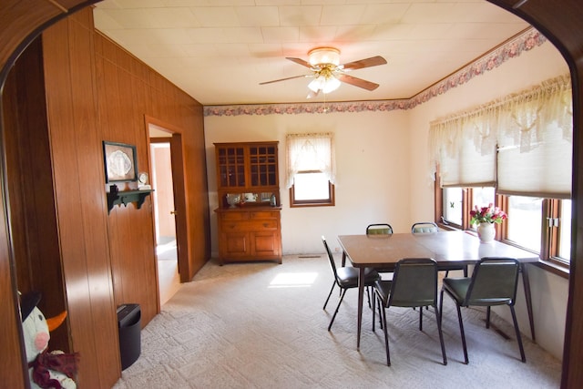 502 State Ave N, Thief River Falls, MN 56701 - photo 16