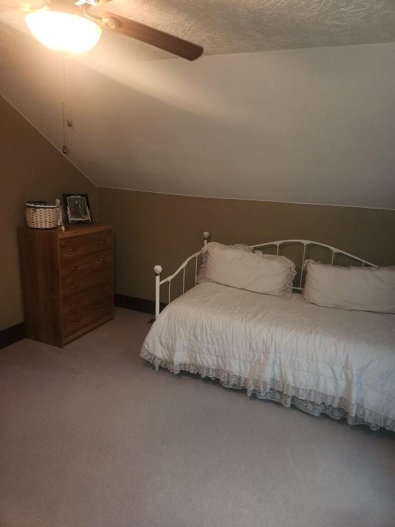 313 2nd St, Hills, MN 56138 - bedroom featuring carpet, lofted ceiling, and a ceiling fan