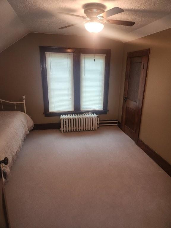 313 2nd St, Hills, MN 56138 - bedroom with radiator heating unit, a textured ceiling, light carpet, vaulted ceiling, and ceiling fan
