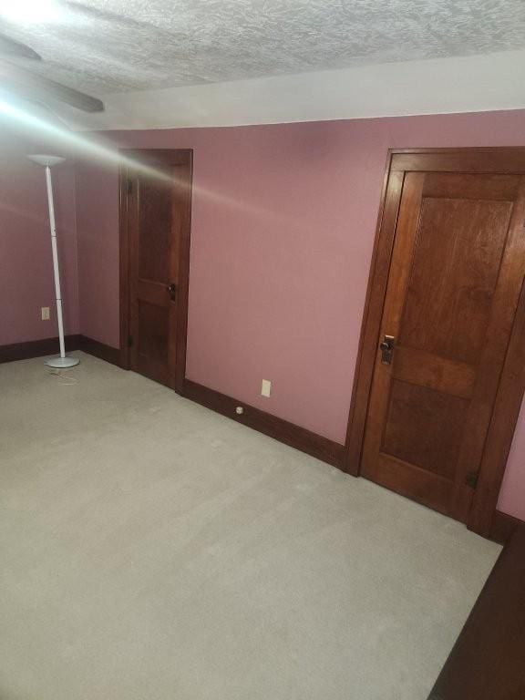 313 2nd St, Hills, MN 56138 - unfurnished room with a textured ceiling, light carpet, and baseboards