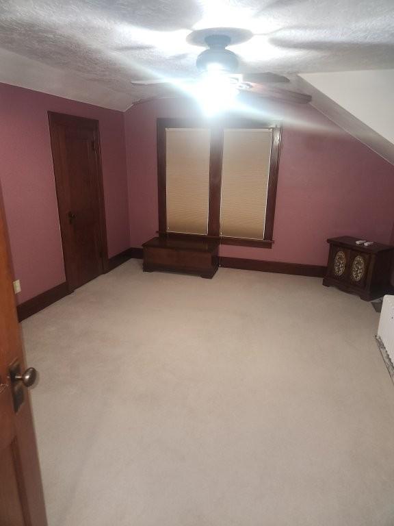 313 2nd St, Hills, MN 56138 - additional living space with light colored carpet, lofted ceiling, and baseboards