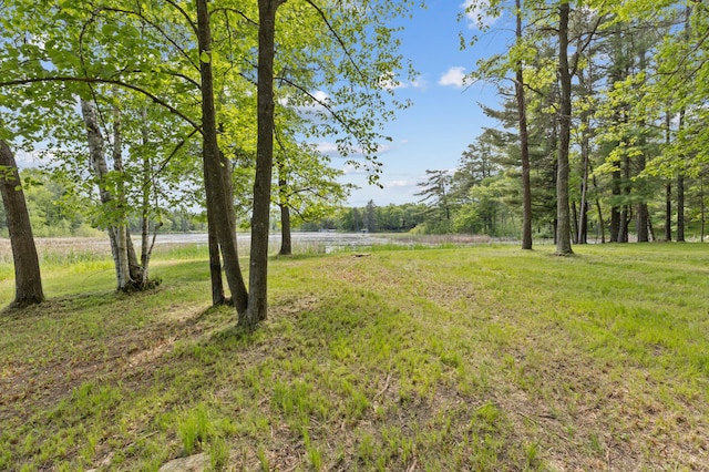 TBD-ParcelC Staley Lane, Crosslake, MN 56442 - photo 1