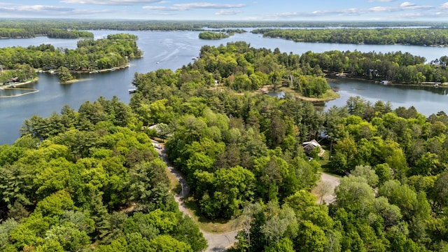 TBD-ParcelC Staley Lane, Crosslake, MN 56442 - photo 2