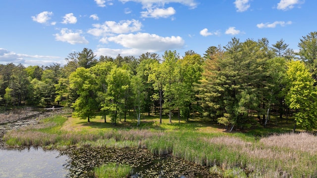 TBD-ParcelC Staley Lane, Crosslake, MN 56442 - photo 5