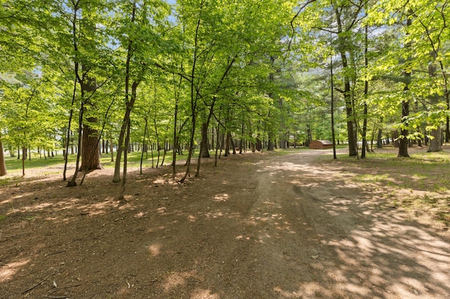 TBD-ParcelC Staley Lane, Crosslake, MN 56442 - photo 6