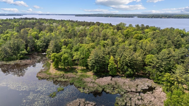 TBD-ParcelC Staley Lane, Crosslake, MN 56442 - photo 7