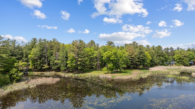 TBD-ParcelC Staley Lane, Crosslake, MN 56442 - photo 10