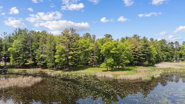 TBD-ParcelC Staley Lane, Crosslake, MN 56442 - photo 11
