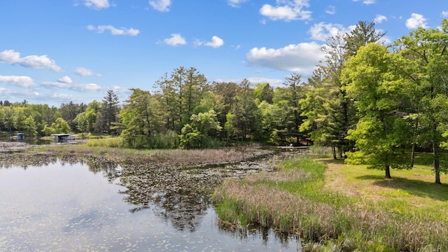 TBD-ParcelC Staley Lane, Crosslake, MN 56442 - photo 13
