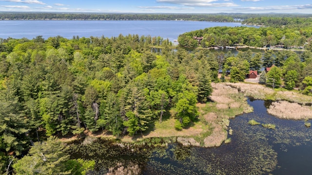 TBD-ParcelC Staley Lane, Crosslake, MN 56442 - photo 14