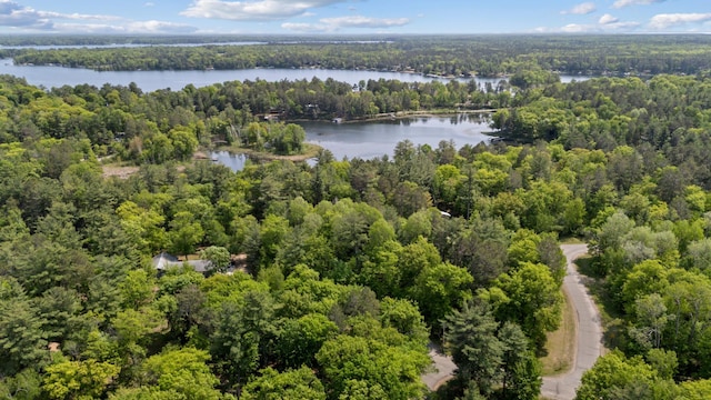 TBD-ParcelC Staley Lane, Crosslake, MN 56442 - photo 18