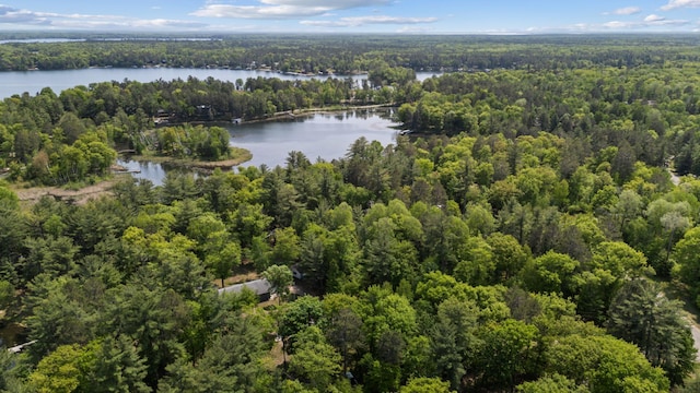 TBD-ParcelC Staley Lane, Crosslake, MN 56442 - photo 19