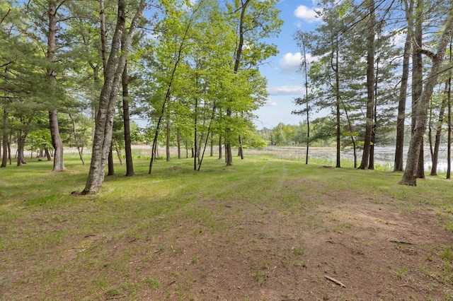 TBD-ParcelC Staley Lane, Crosslake, MN 56442 - photo 22