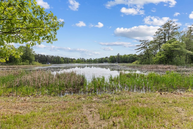 TBD-ParcelC Staley Lane, Crosslake, MN 56442 - photo 24