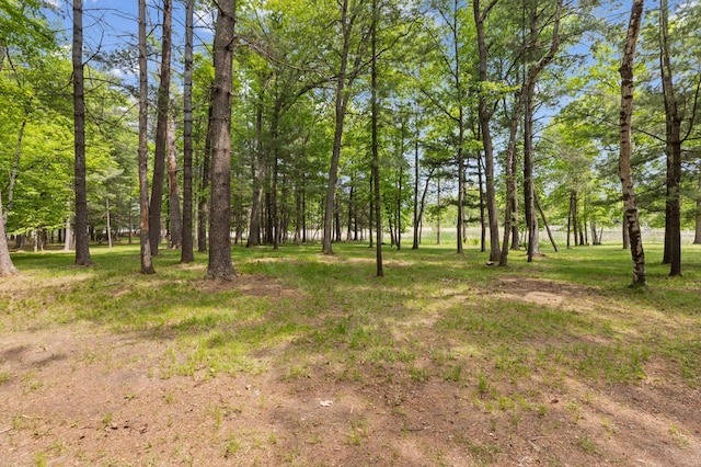 TBD-ParcelC Staley Lane, Crosslake, MN 56442 - photo 27