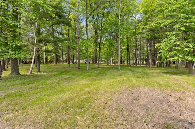 TBD-ParcelC Staley Lane, Crosslake, MN 56442 - photo 28