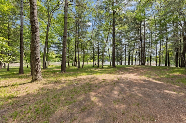 TBD-ParcelC Staley Lane, Crosslake, MN 56442 - photo 29
