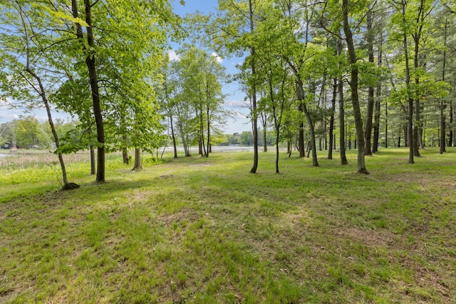 TBD-ParcelC Staley Lane, Crosslake, MN 56442 - photo 31