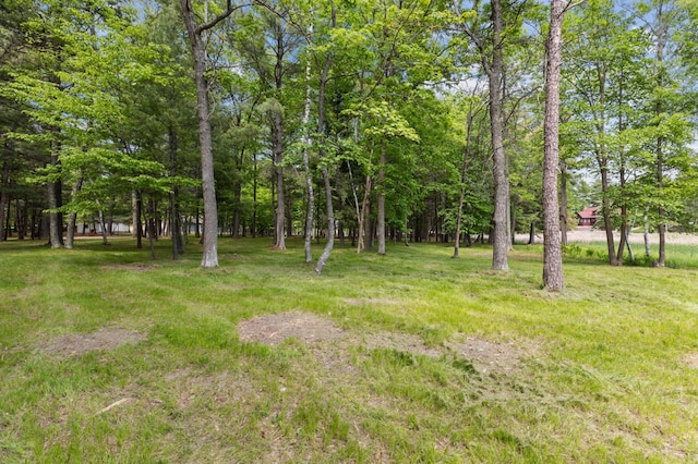 TBD-ParcelC Staley Lane, Crosslake, MN 56442 - photo 32