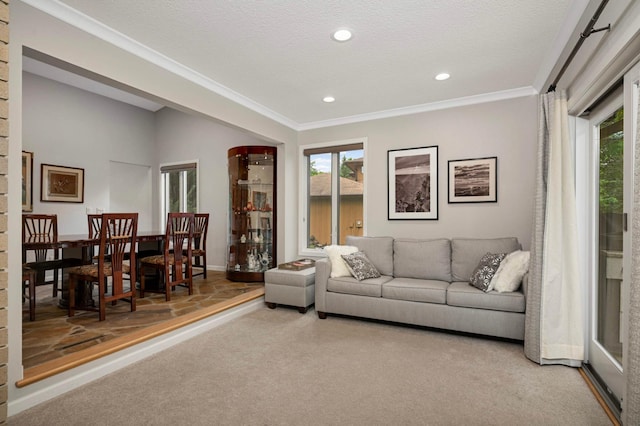 2367 Apache Ct, Mendota Heights, MN 55120 - carpeted living area with crown molding, recessed lighting, and a textured ceiling