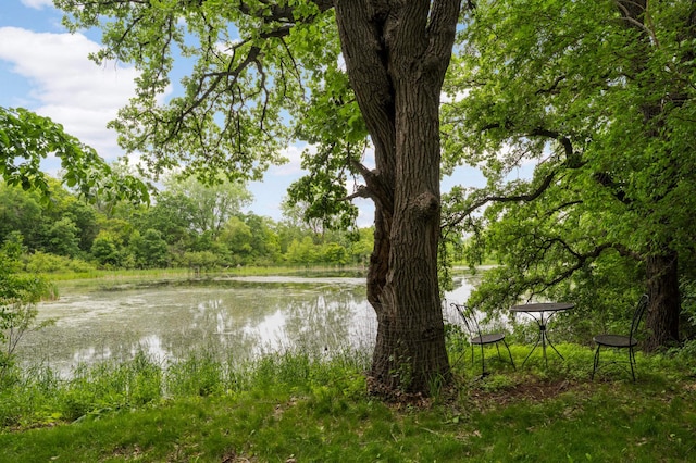 2367 Apache Ct, Mendota Heights, MN 55120 - water view with a heavily wooded area