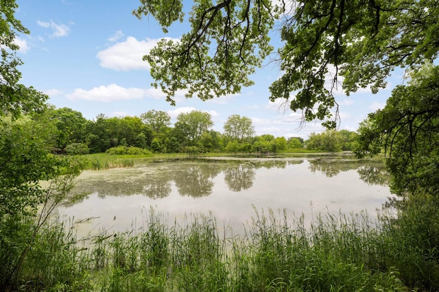2367 Apache Ct, Mendota Heights, MN 55120 - water view featuring a heavily wooded area