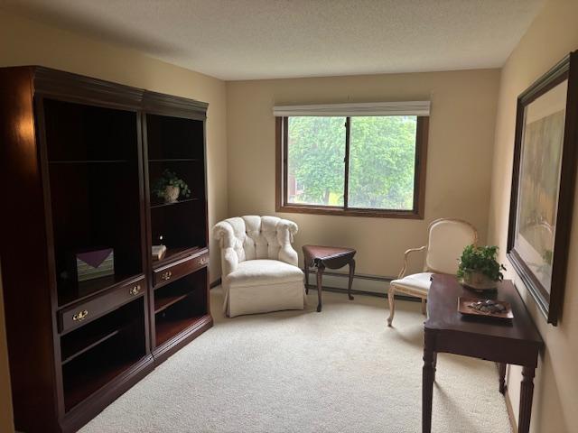 1011 41st Ave NE Unit 208, Columbia Heights, MN 55421 - photo 5