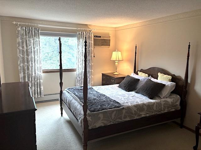 1011 41st Ave NE Unit 208, Columbia Heights, MN 55421 - photo 3