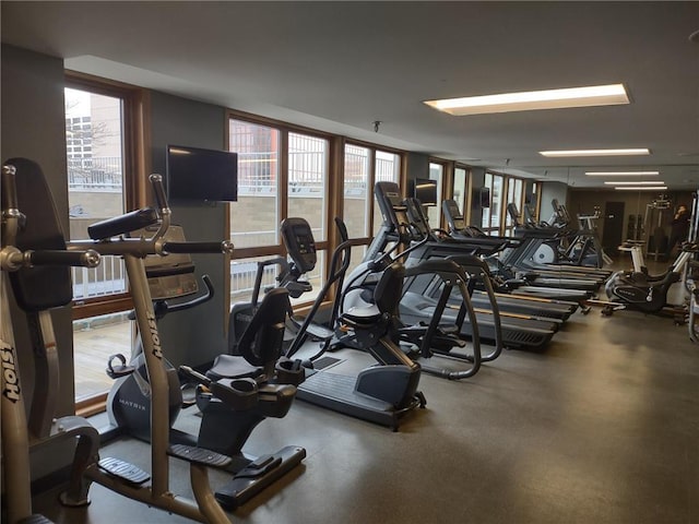 433 7th St Unit 1603, Minneapolis, MN 55415 - workout area with healthy amount of natural light
