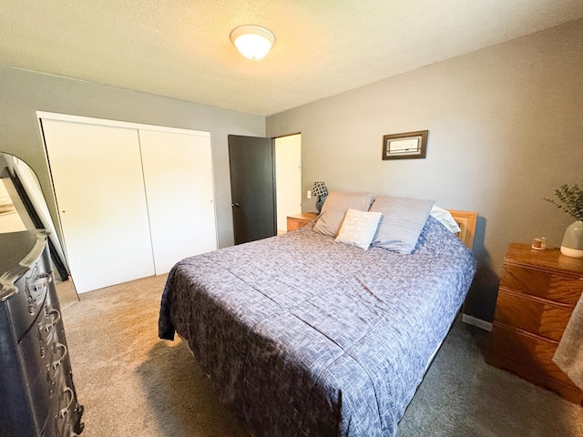 810 Division St, Elbow Lake, MN 56531 - bedroom with carpet floors and a closet