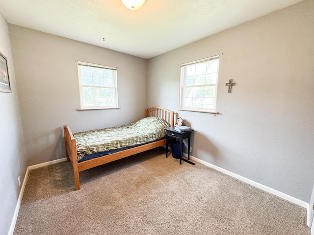 810 Division St, Elbow Lake, MN 56531 - carpeted bedroom with multiple windows and baseboards