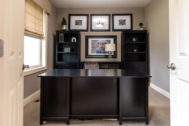 16326 Sohm Ct, Eden Prairie, MN 55347 - photo 9