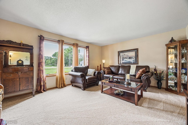 5701 33rd St S, Fargo, ND 58104 - living room featuring carpet, a textured ceiling, and baseboards