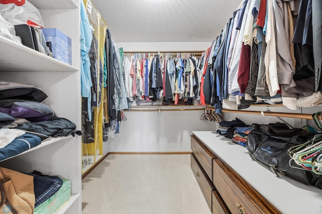 5701 33rd St S, Fargo, ND 58104 - spacious closet with carpet flooring