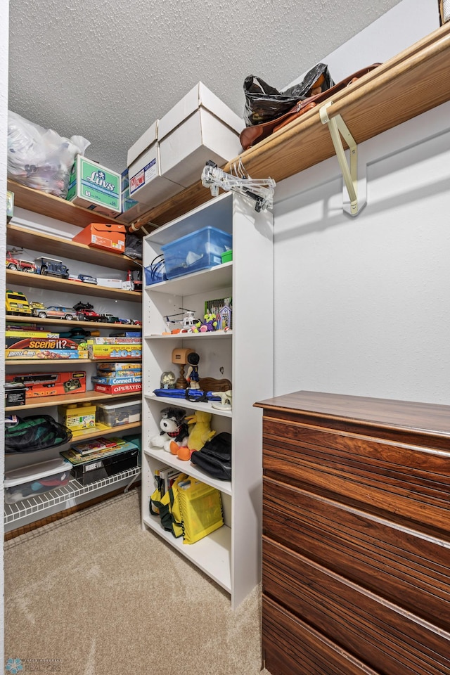 5701 33rd St S, Fargo, ND 58104 - walk in closet with carpet