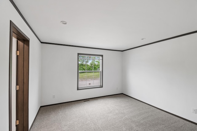 215 Mckay Ave # 42, Alexandria, MN 56308 - carpeted spare room with crown molding and baseboards