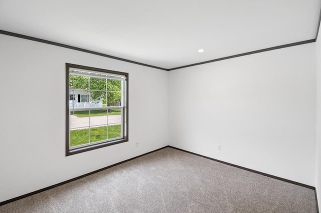 215 Mckay Ave # 42, Alexandria, MN 56308 - unfurnished room featuring crown molding, carpet flooring, baseboards, and recessed lighting