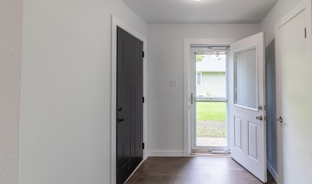 1020 1st St S, Cold Spring, MN 56320 - foyer entrance featuring dark wood-style flooring and baseboards